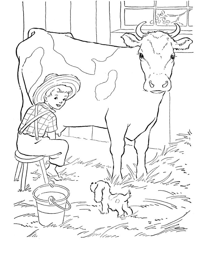 planse desene de colorat vaca vitel taur bou